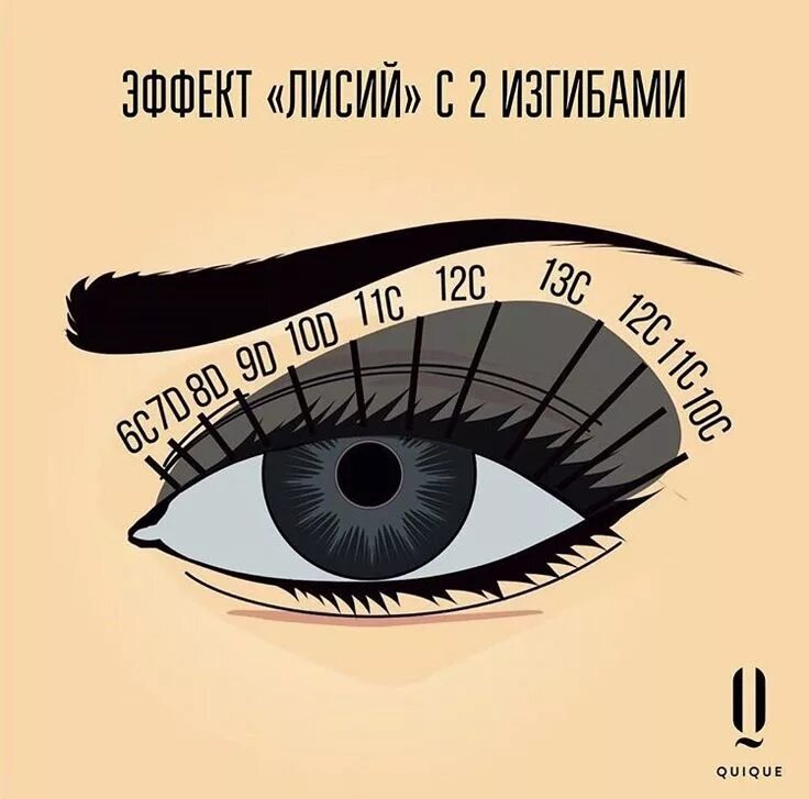 Схема наращивания лисий. Схема Лисий эффект в наращивании ресниц классика. Наращивание ресниц Лисий эффект 2д схема. Лисий эффект наращивания ресниц схема. Эффект лиса наращивание ресниц схема классика.