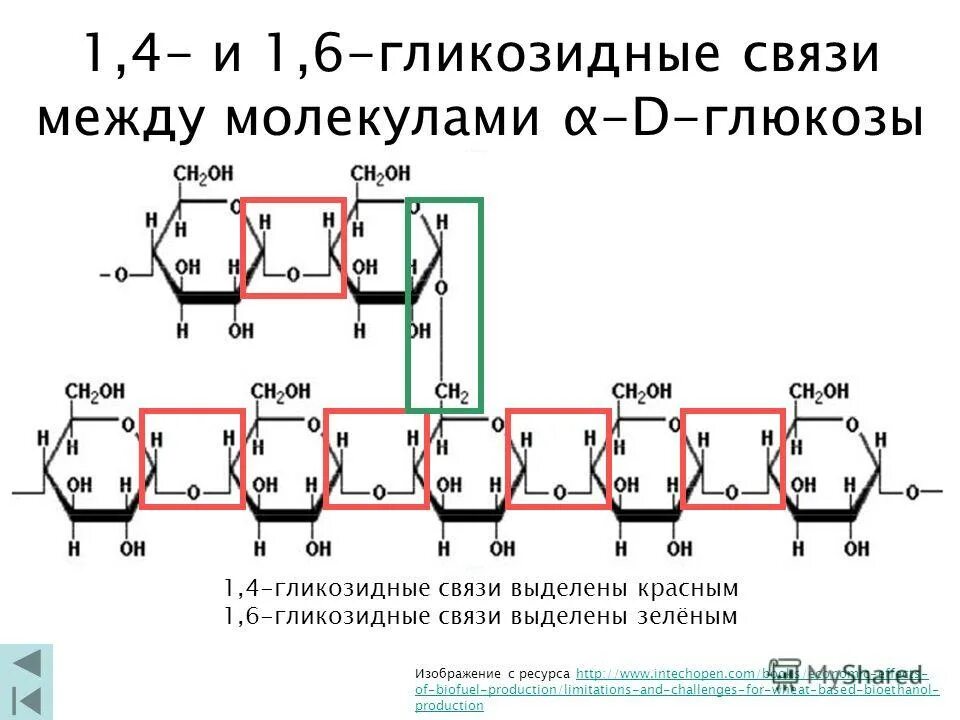 Связь 4 гликозидная. 1 6 Гликозидная связь. Образование гликозидной связи. 1 4 Гликозидная связь. Гликозидная связь в крахмале.