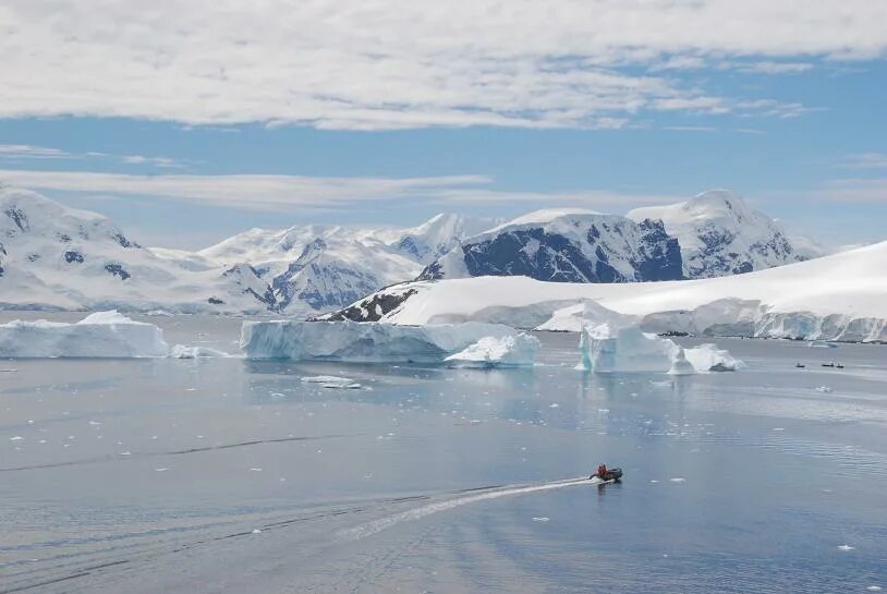 запад антарктиды. горы в антарктиде на западе ?. полюс сухости антарктида. жизнь в антарктиде. глобус ледовитый океан и антарктида.