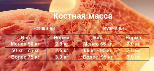 Норма мышц в теле. Нормы костной массы в организме. Костная масса норма у женщин. Процент костной массы в организме в процентах. Вес костной массы человека.