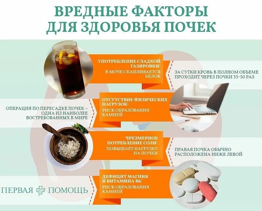 Полезное и вредное для почек. Полезная пища для почек. Продукты полезные для почек. Продукты вредные для почек. Почки и сладость