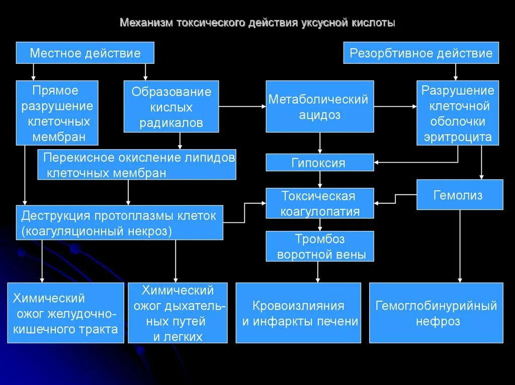 Механизм токсического действия. Патогенез отравления уксусной кислотой. Токсическое действие уксусной кислоты. Патогенез отравления кислотами. Отравление патогенез