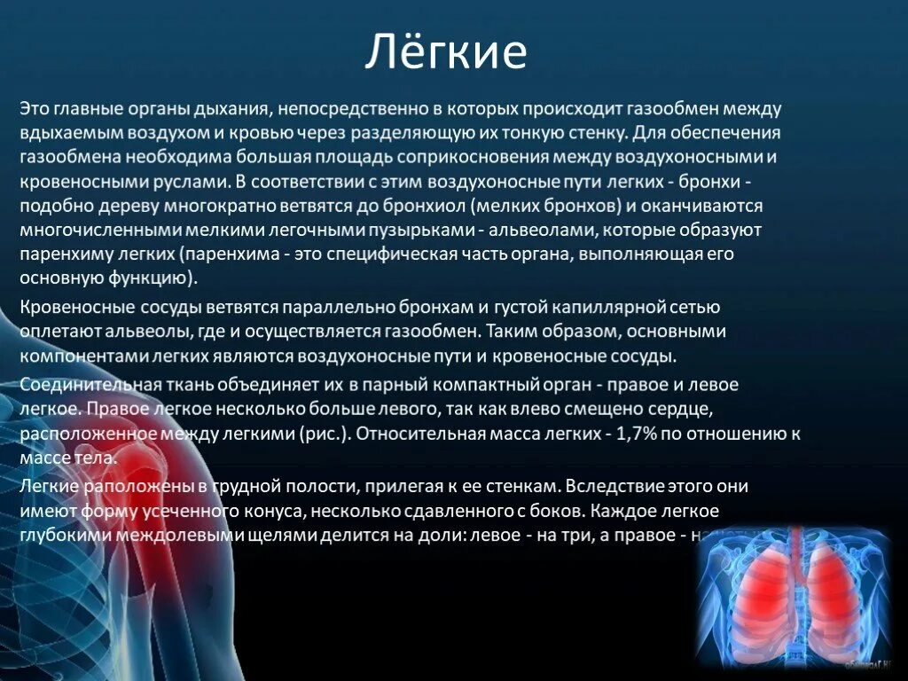 Много информации о легких