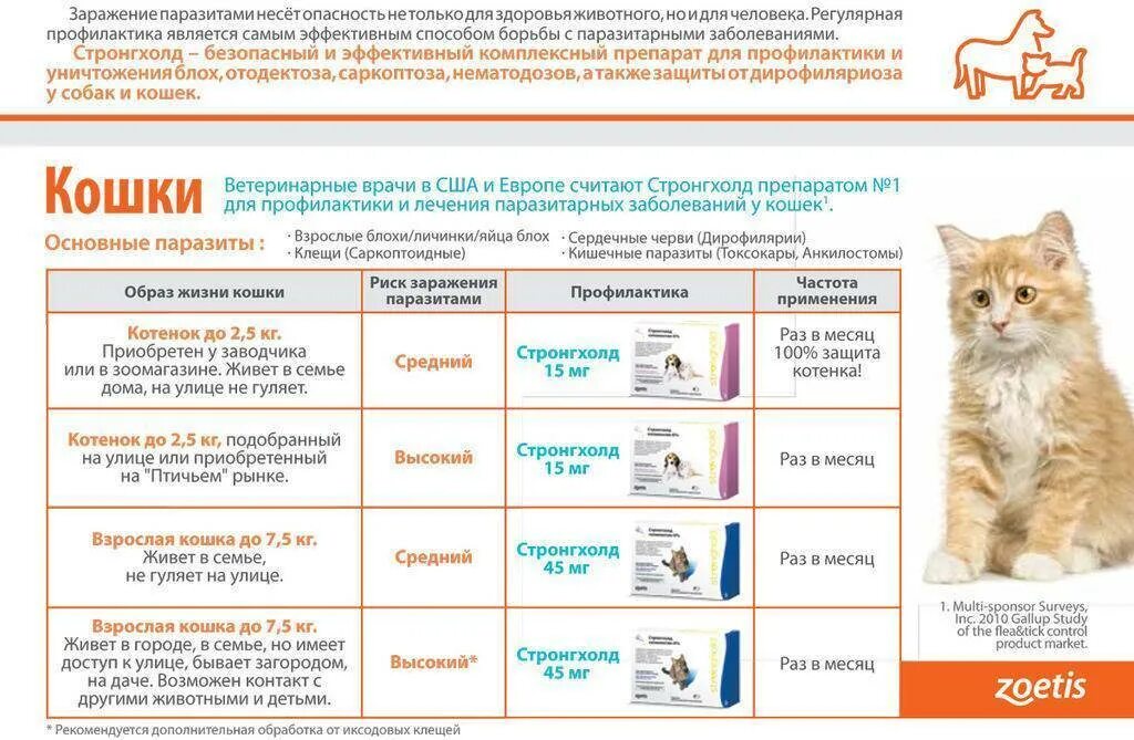 Как часто можно глистогонить. Стронгхолд для котов. Глистогонное для кошек стронгхолд. Стронгхолд дозировка котенку. Глистогонные капли котятам стронгхолд.