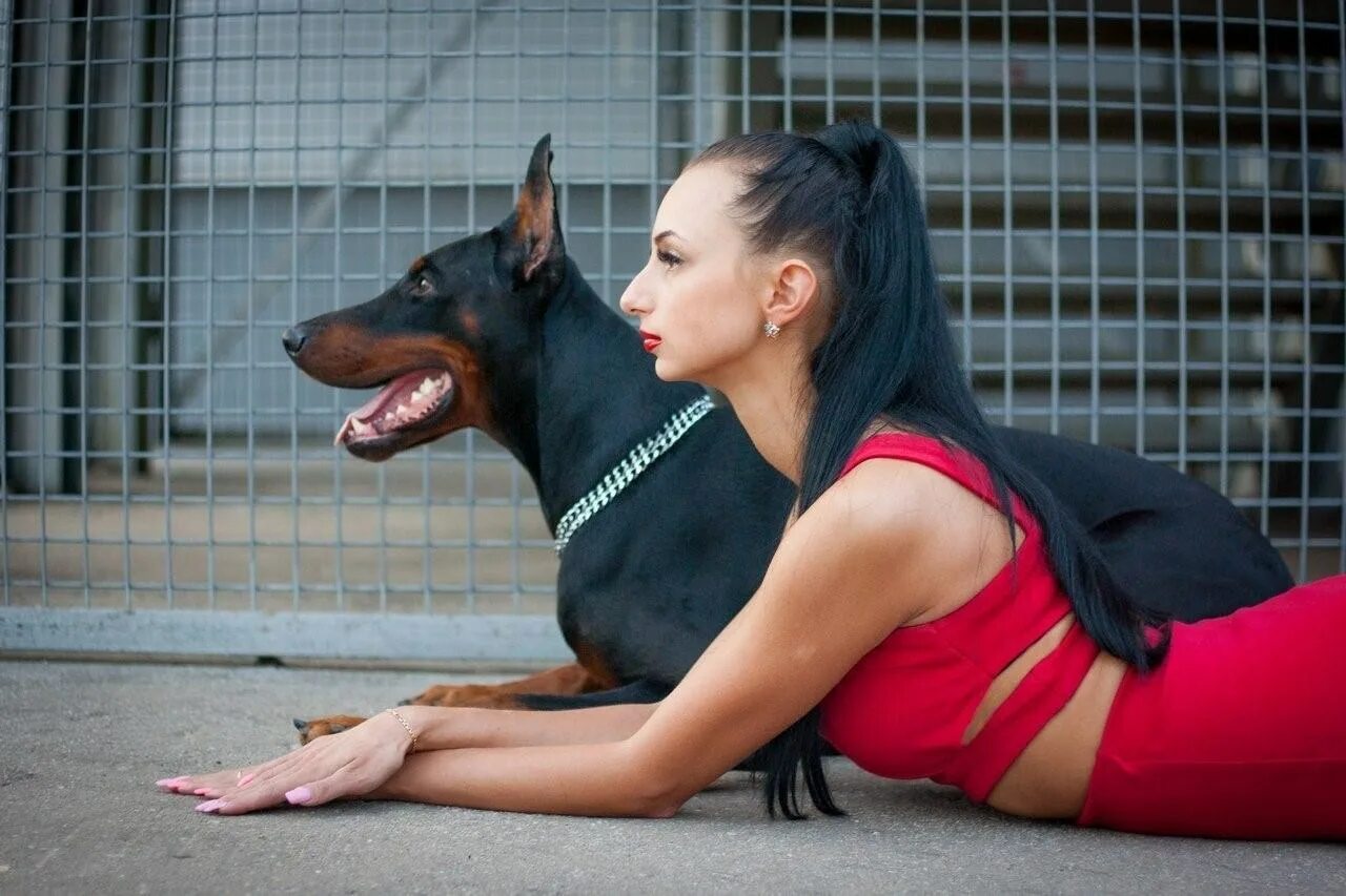 Doberman amanda episode. Глюкоза с доберманом. Доберман Дины Саевой. Нита с доберманом фотосессия.