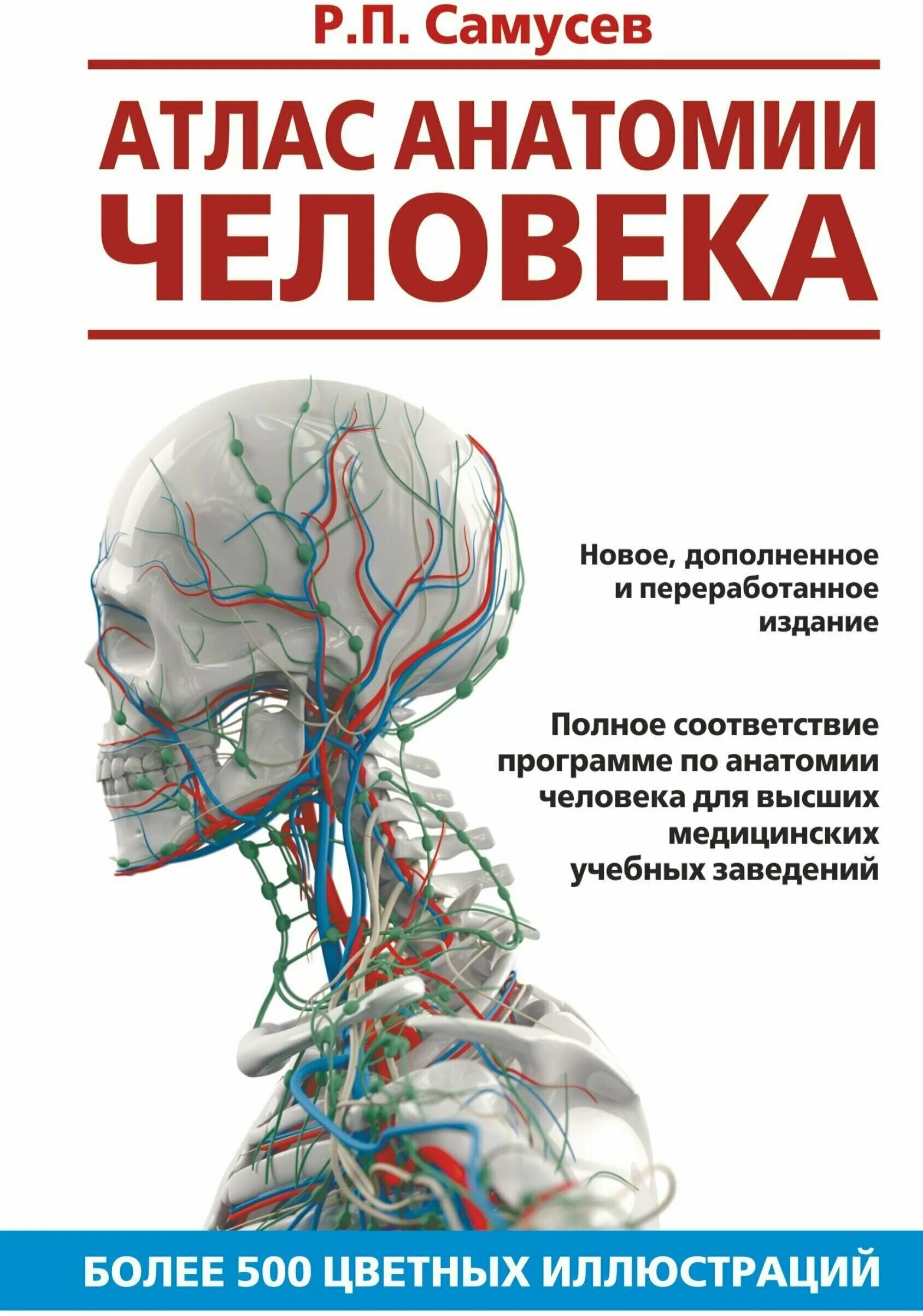 7 издание анатомии. Атлас анатомия человека р.п самусев. самусев атлас анатомии. атлас по анатомии самусев р.п самусев. самусев р п атлас анатомии человека 1 издание.