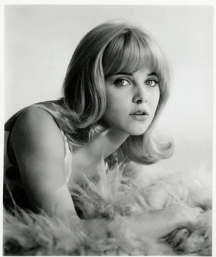 Sue. Сью лайон. сью лайон 1962. сью лайон в молодости. sue lyon в молодости.