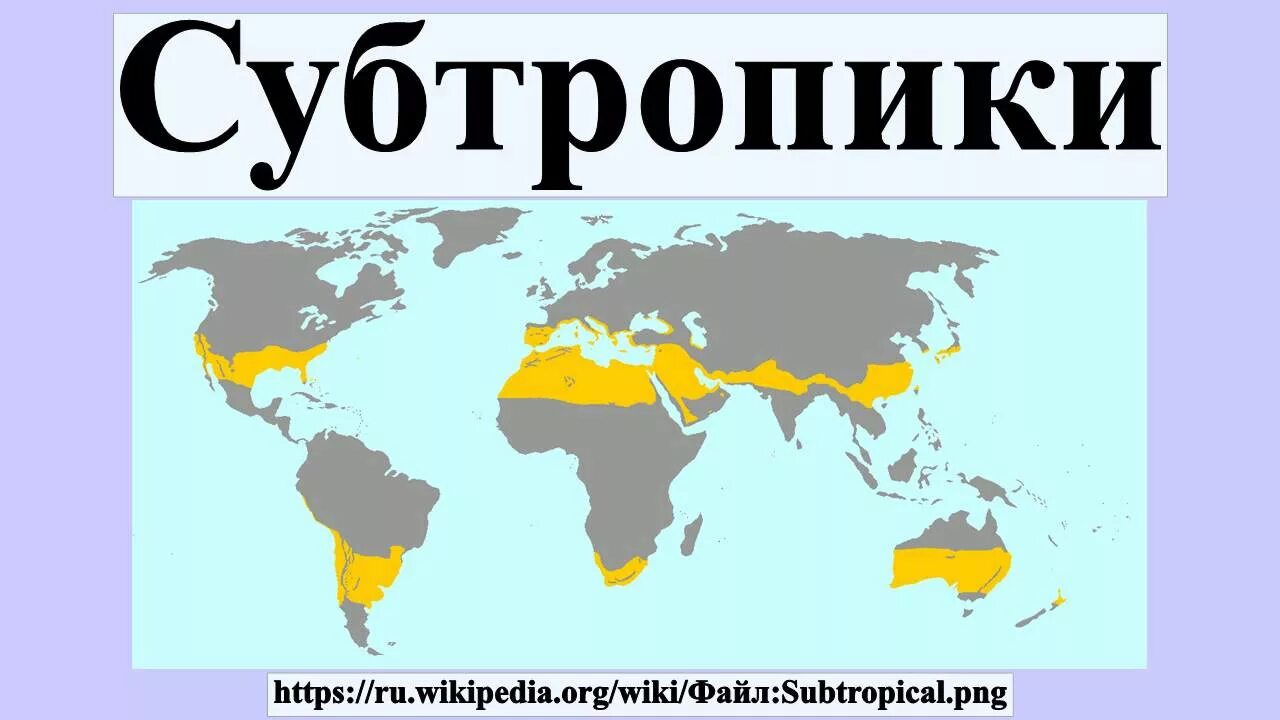 Субтропики расположение. Субтропики на карте. Субтропическая зона на карте. Расположение зоны субтропиков.