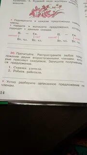 Стрижи улетели распространить сказуемое