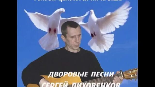 Гонял по крышам голубей слушать. Голуби целуются. Голубь певец. Голуби на крыше песня. Голуби целуются на крыше.