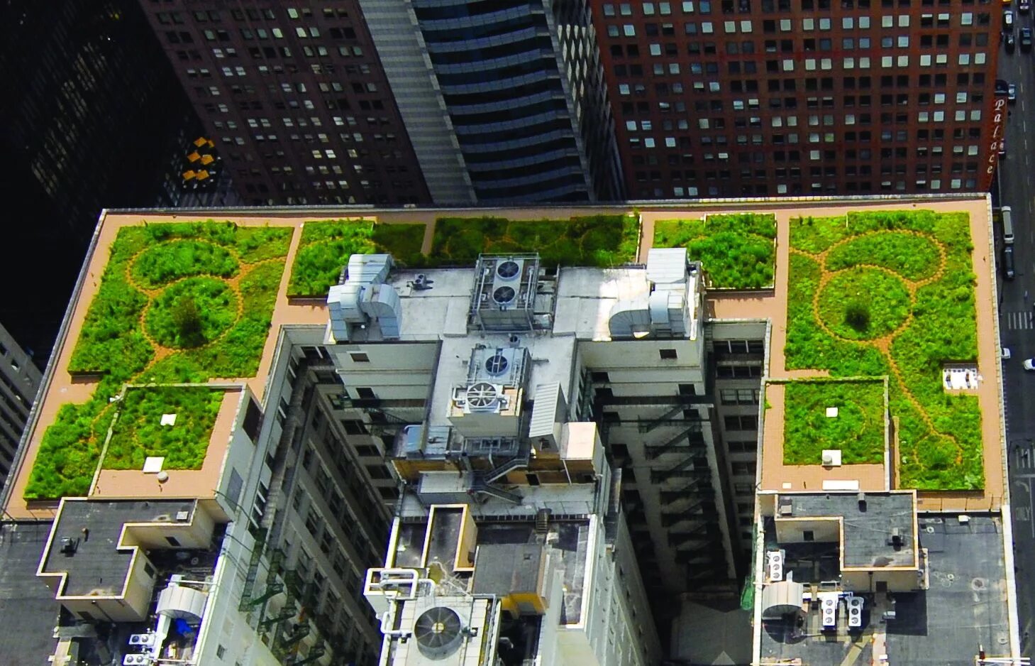 City parking building. City Hall Rooftop Garden: зеленая крыша в Чикаго. Сити Холл Чикаго. City Hall в Чикаго сад на крыше. Зеленая крыша здания Сити Холл Чикаго.