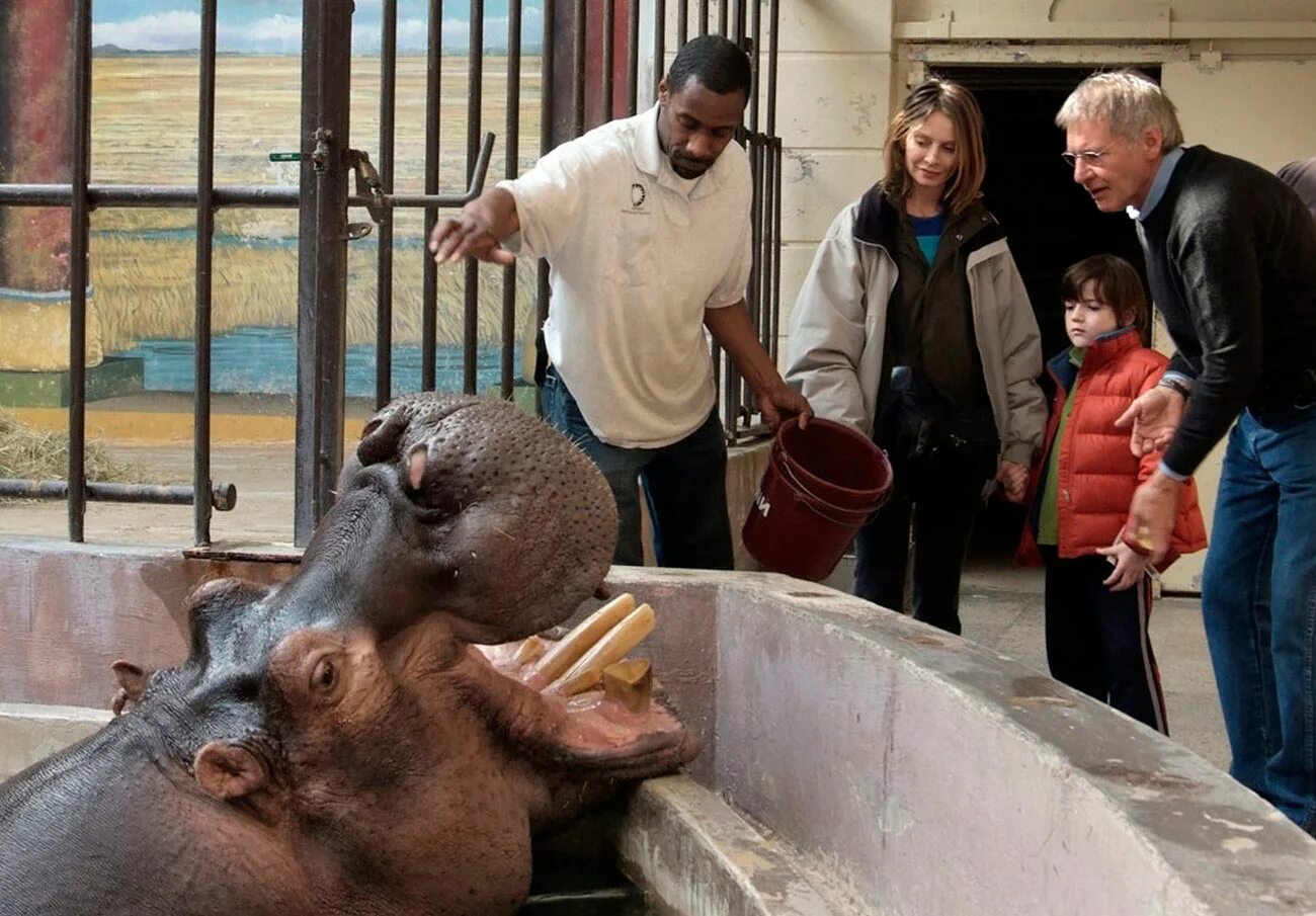 слоновник в ростовском зоопарке. дикие звери в зоопарке. обитатели московского зоопарка. сахалинский зоопарк южно сахалинск. фотосессия в зоопарке.