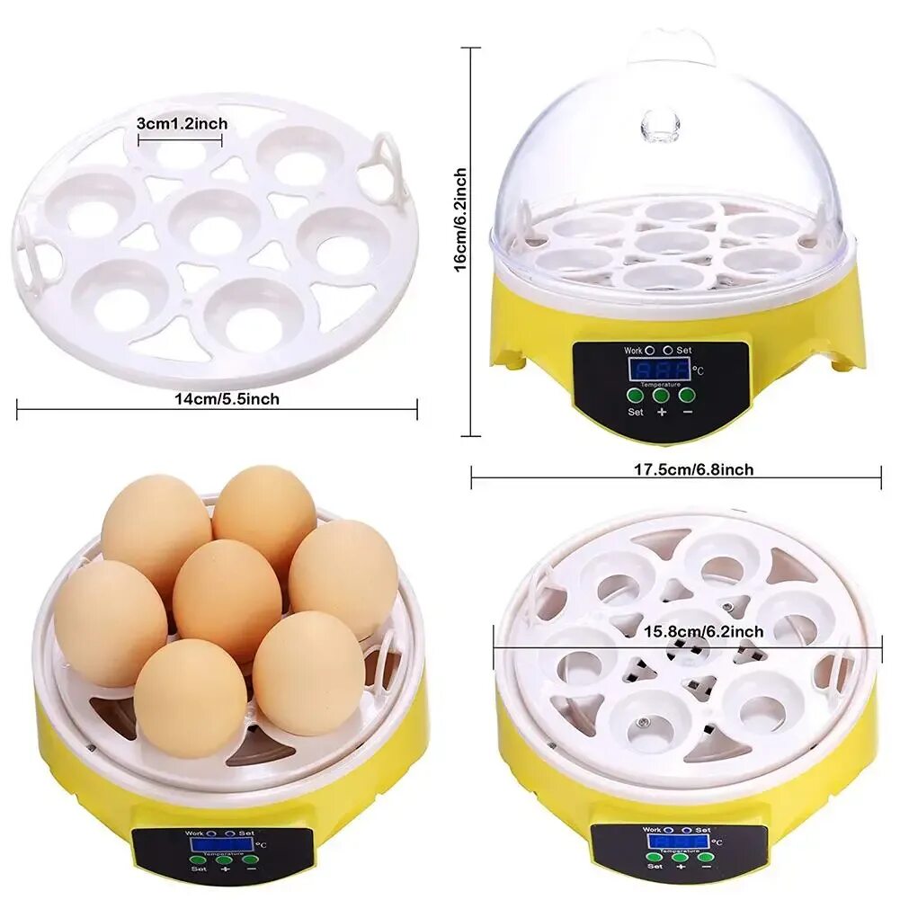 Мини инкубатор купить. Инкубатор 12 Egg incubator. Инкубатор Egg incubator HHD ew9-7. Мини-инкубатор на 7 яиц HHD 7 С терморегулятором, SITITEK. Инкубатор Egg incubator 6.