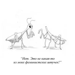 Юмор 55