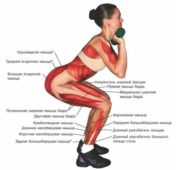Почему болят ягодицы после тренировки