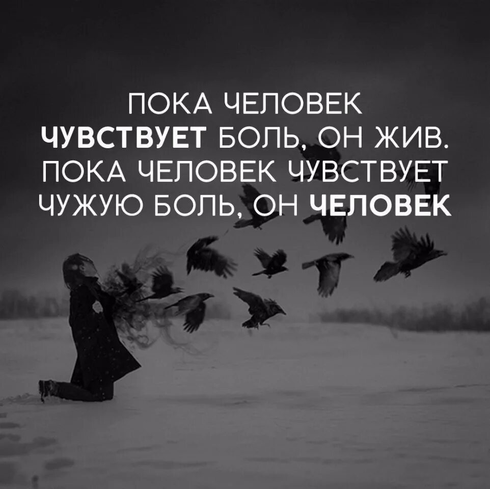 Цитаты про жизнь добрые. Красивые цитаты. цитаты со смыслом. афоризмы. красивые фразы.