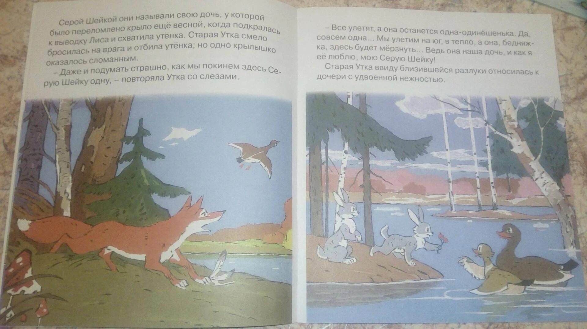 Серая шейка народная сказка. Серая шейка народная сказка. Серая шейка книга. Мамин-сибиряк серая шейка охотник. Мамин сибиряк серая шейка.