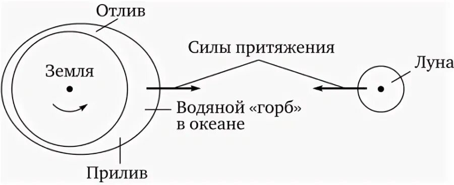 Ньютон приливы и отливы