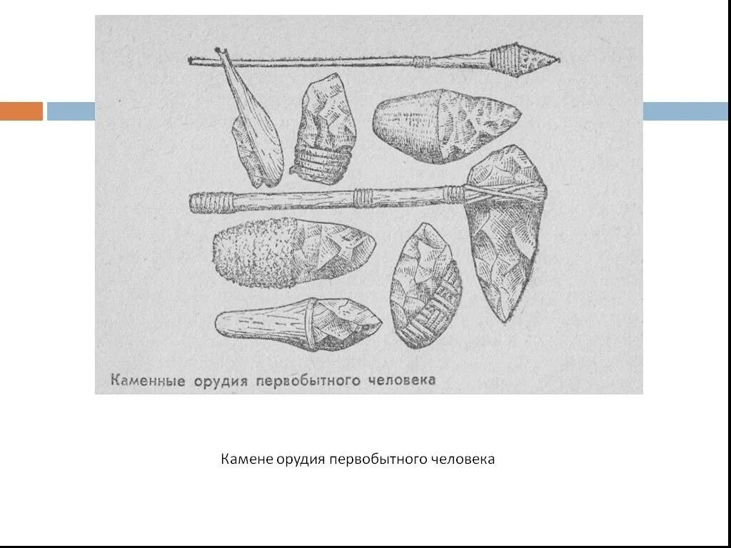 Укажите древнейшее орудие труда. Орудие древнего человека каменного века. Каменные орудия древних людей. 1 Орудие труда первобытного человека.