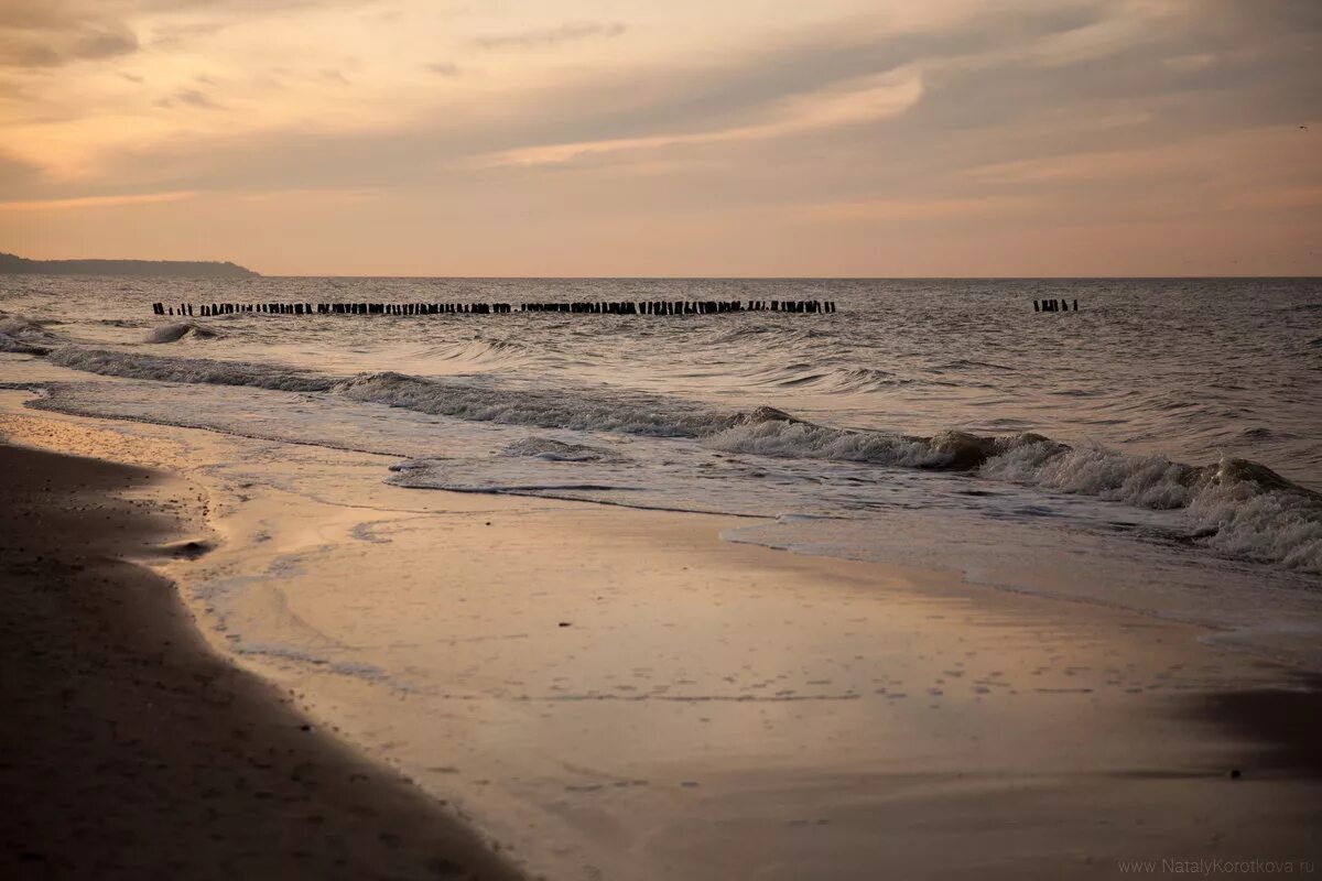 Балтийское море зеленоградск осень. Море в калининграде в июне. Пляжи в зеленоградске калининградской области сейчас. Море в калининграде некрасивое. Светлогорск море лето.