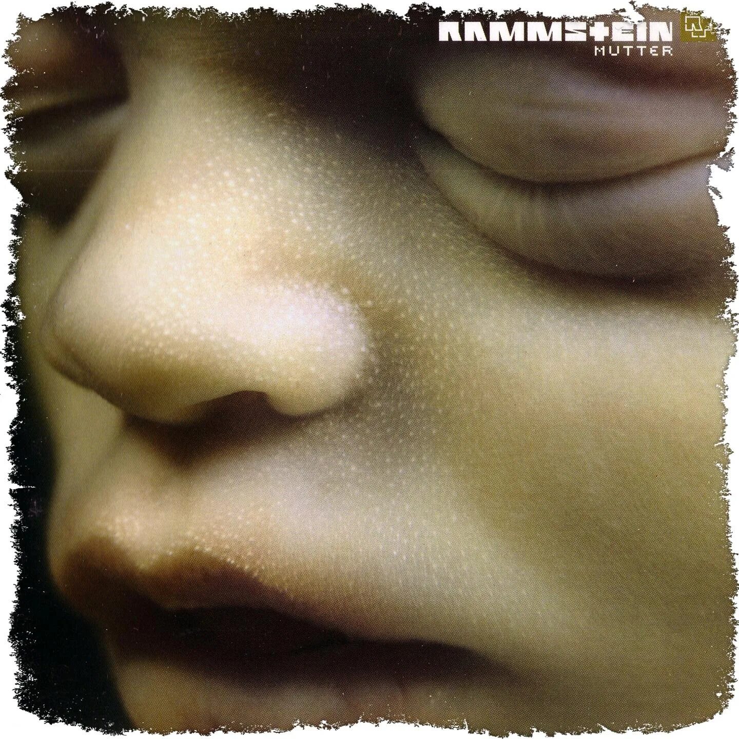 Mutter ist. Rammstein mutter обложка альбома. обложка альбома rammstein 2001 mutter. обложка альбома рамштайн муте. компакт-диск rammstein mutter.