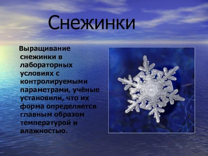 Описание снежинки. Стих про снежинку. Снежинки для презентации. Путешествие снежинки.