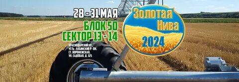 Золотая нива даты
