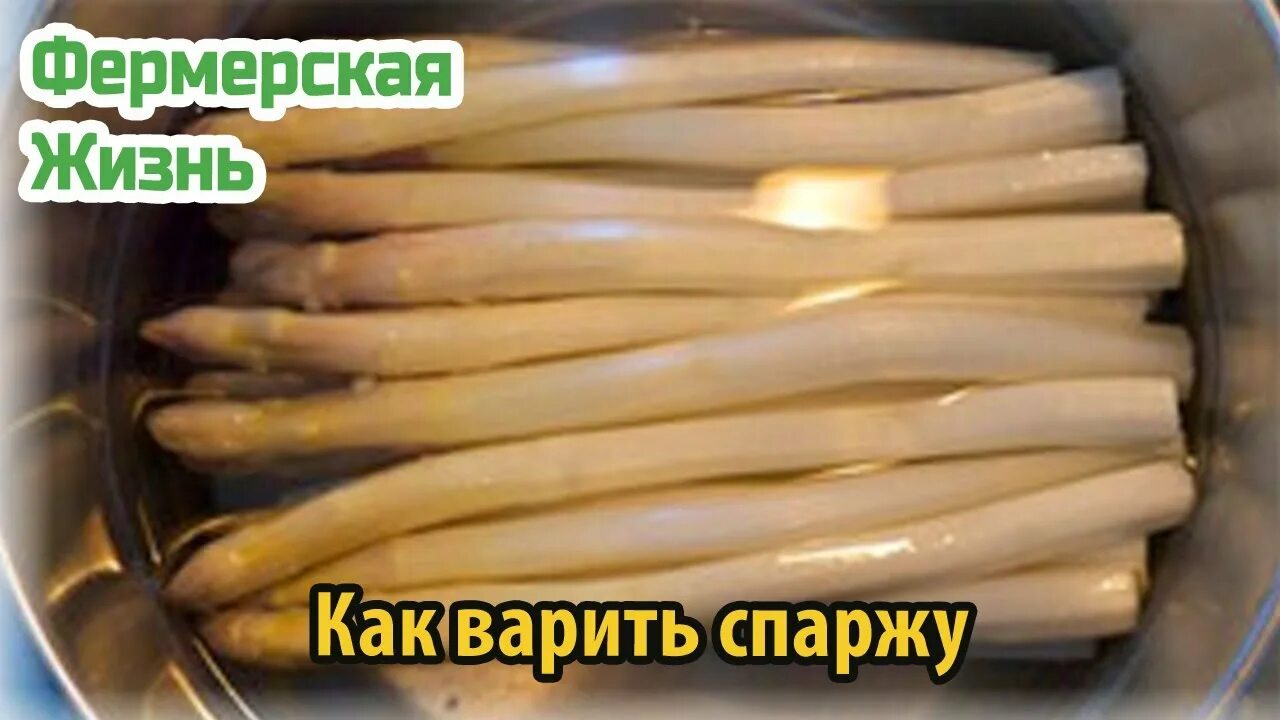 Спаржа вкус. Перед варкой спаржу. Как варить спаржу. Спаржа после варки.