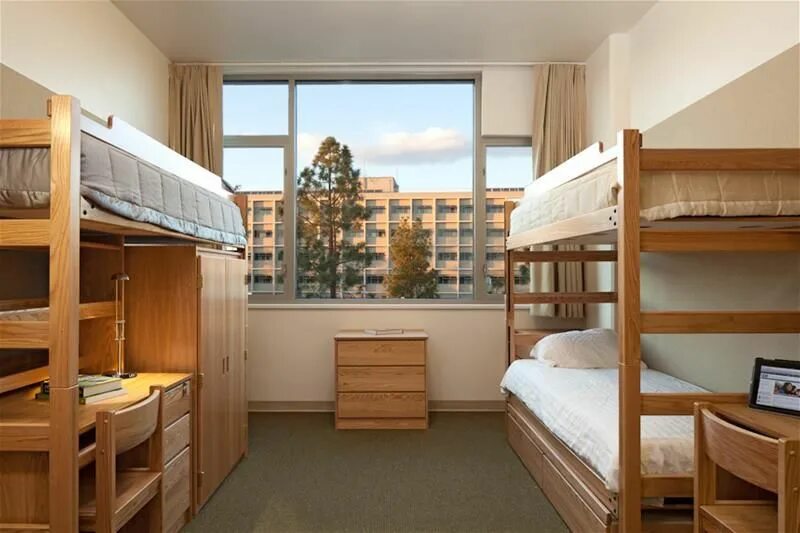 Обе на четверых. UCLA общежитие. Оксфордский университет общежитие. Residence Hall (dorm(Itory), Hostel) – общежитие, хостел. UCLA университет общежитие.