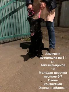 Про потеряшку
