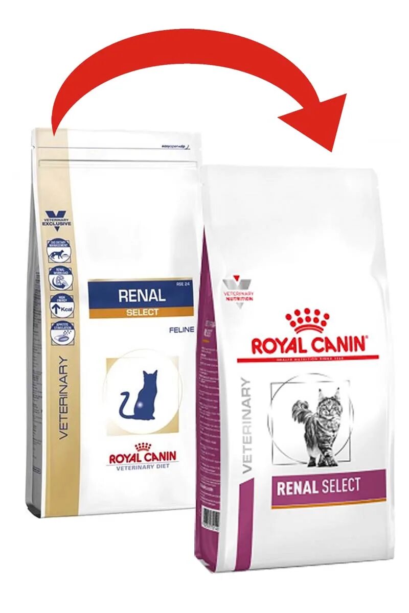 Renal canin renal для кошек купить. Royal Canin Ренал Селект для кошек. Сухой корм Royal Canin renal. Роял Канин Ренал для кошек сухой. Royal Canin renal select rse24.