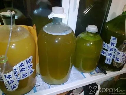 Как из домашнего сока яблочного сделать вино
