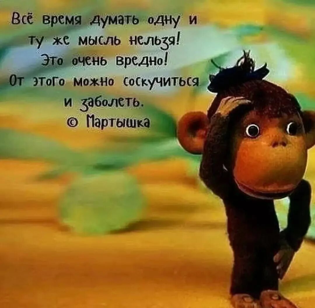 На жизнь не стоит думать
