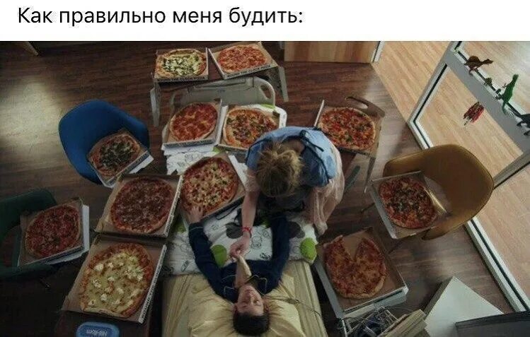 Кошки пятница. Новогоднее настроение в ноябре мемы. Кота разбудили. Кот дрыхнет. Не надо меня будить.