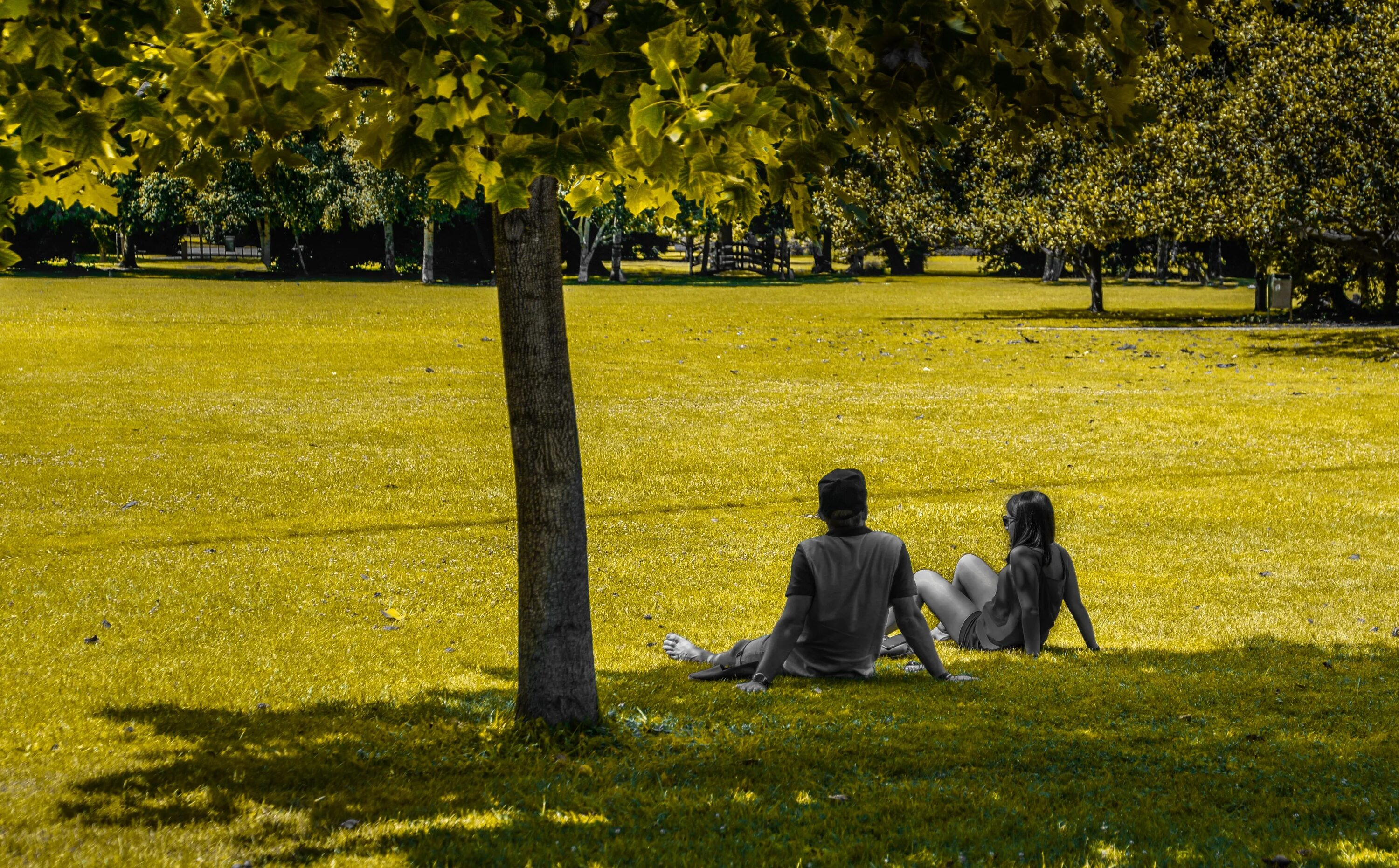 He walks in the park. Парк с людьми. Люди в парке. Парк с деревьями и людьми. Чел в парке.