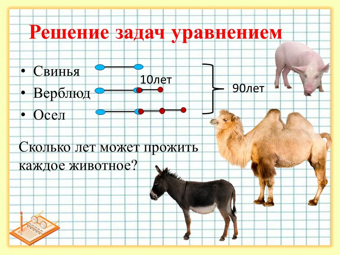 Лет живет верблюд. Задания про верблюда. Задача про ослика. Сколько лет живёт каждое животное. Ослик задания.