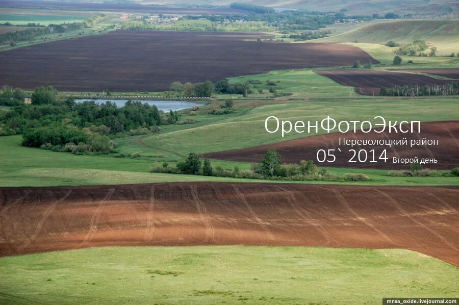 Погода п переволоцкий. Погода п переволоцкий. Переволоцкий оренбургская обл. Погода п переволоцкий. Погода п переволоцкий.