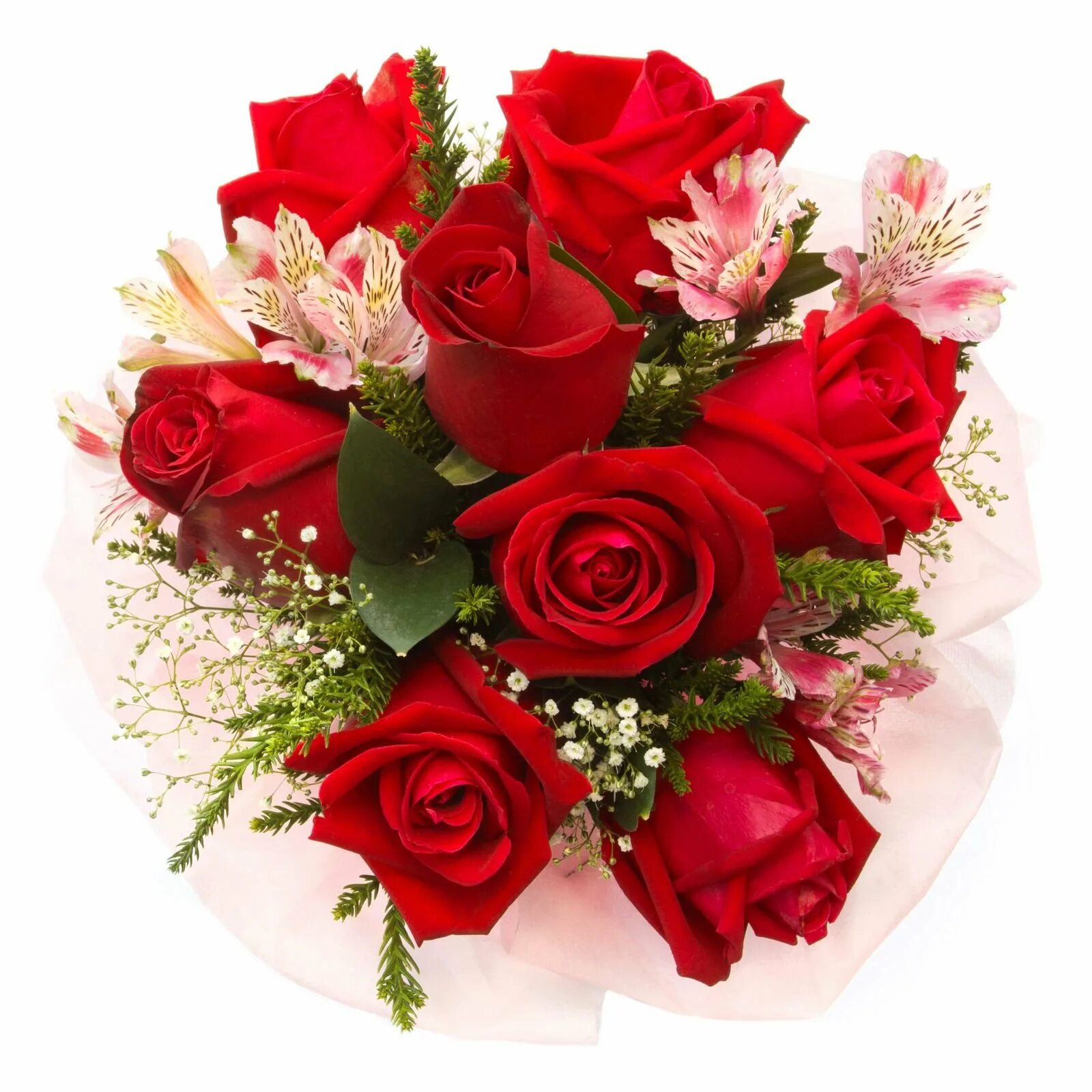 Светы картинка. Букет роз. Цветы для любимой. Букет роз для женщины. Красивый букет цветов для женщины.