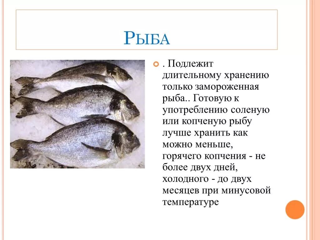 Рыба без холодильника сколько. Хранение рыбы. Срок хранения соленой рыбы. Хранение рыбы в холодильнике. Как условия хранения рыбы.