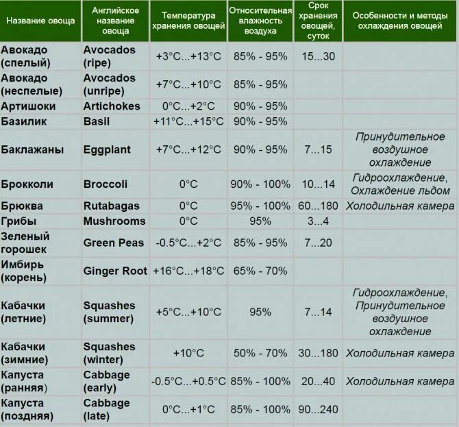 Сколько можно держать температуру