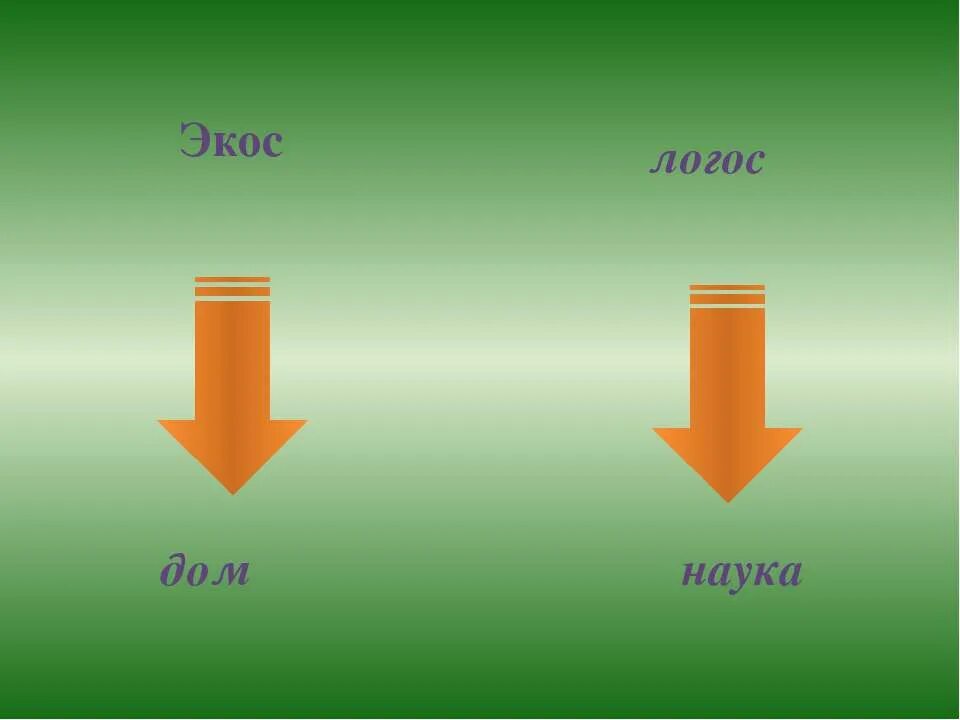 Что такое экос. Экос дом логос наука. экология экос логос. экология это наука. логос это наука.