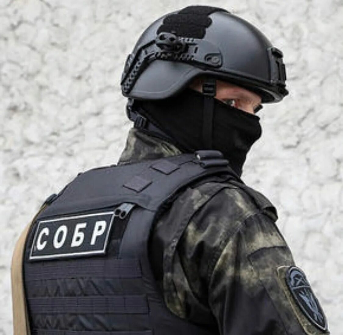 Собр группа быстрого реагирования. Собр росгвардия. Спецназ собр. Собр альфа спецназ. Альфа собр омон.