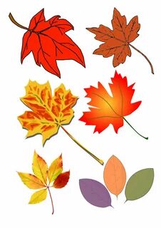 Распечатать осенние листья цветные для вырезания