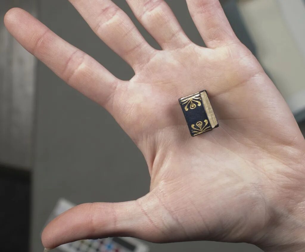 Какая самая маленькая книга. Какая самая маленькая книга. Самая маленькая книга. Самая маленькая книга в мире хамелеон чехова. Какая самая маленькая книга.