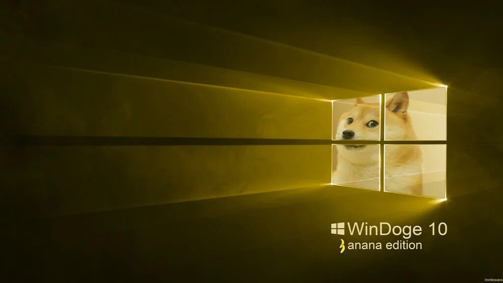 Шапка для ютуба с животными. Доге в 10. Доге в 10. Доге в 10. Доге в 10.