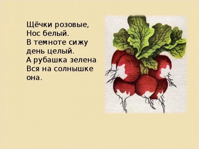 Загадки про имя прилагательное 3 класс. Проект имена прилагательные в загадках 3 класс. Проект прилагательные в загадках 3 класс по русскому. Имя прилагательное в загадках загадки. Загадки с имени прилагательного 3 класс.