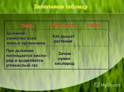 Кислый род