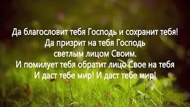 Поплавская тебя господь благословляю