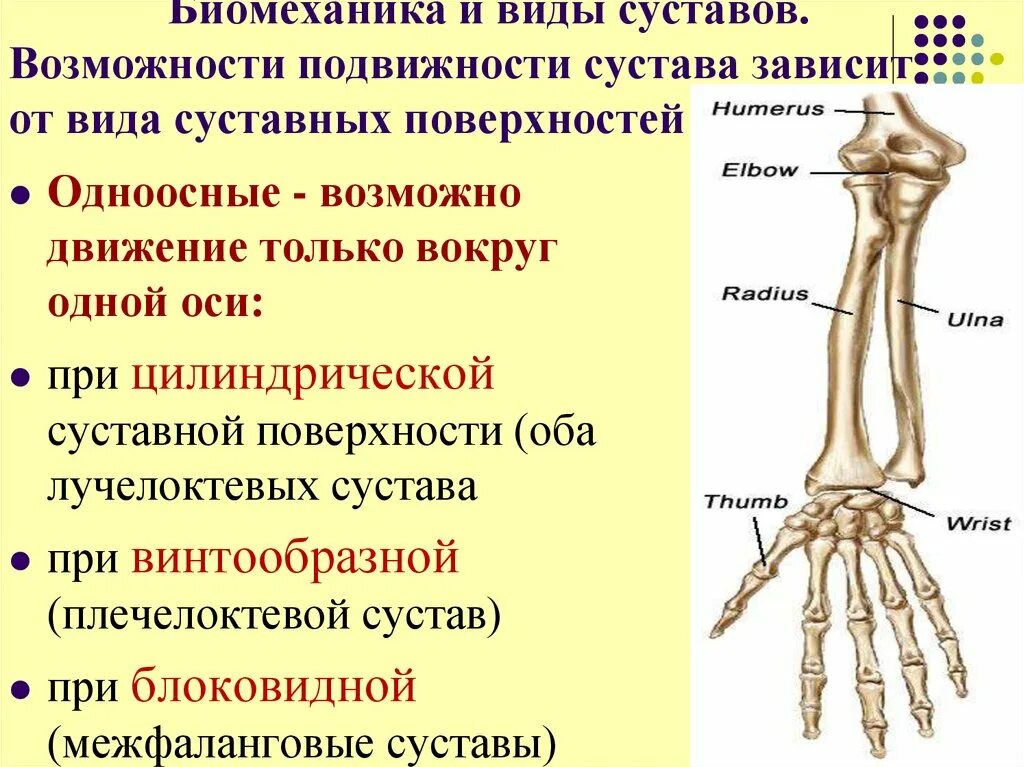 Дистальный лучелоктевой сустав оси. Дистальный лучелоктевой сустав оси движения. Лучелоктевой сустав форма и движение. Сустав это кратко. Функции движения суставов