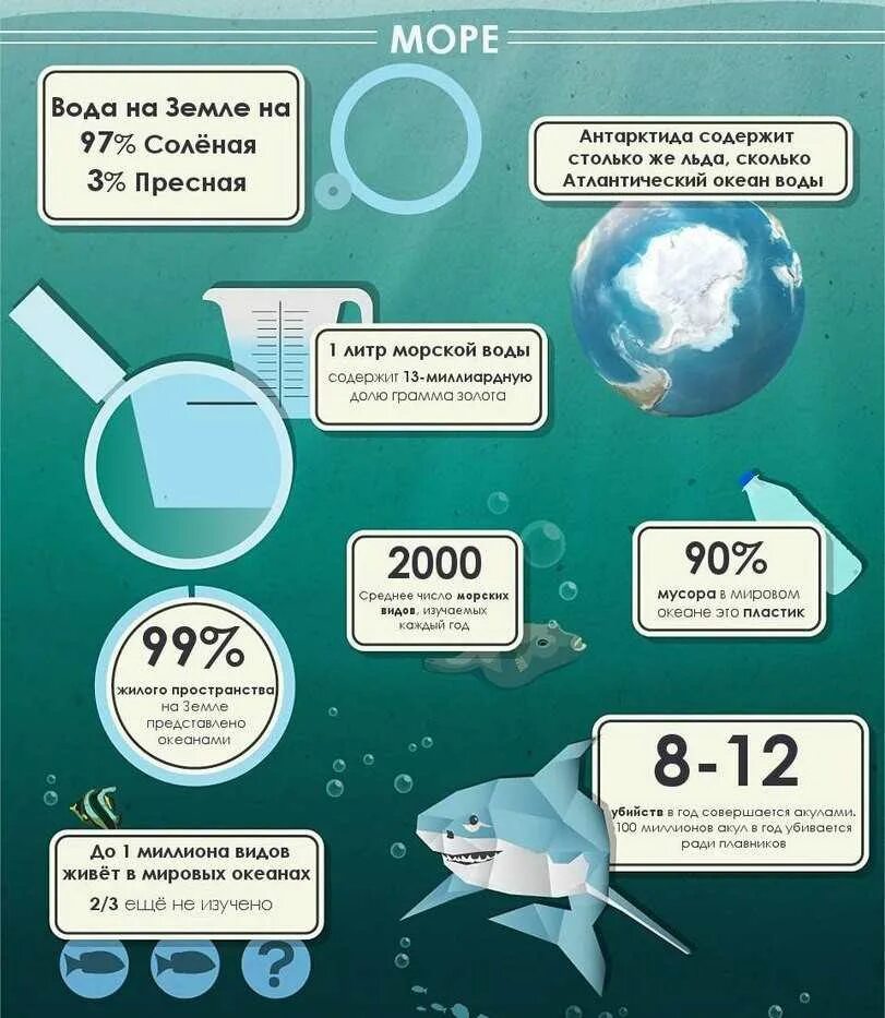 Интересные факты о земле. Инфографика интересные факты. Интересное о воде. Интересные факты о воде инфографика. Океаны изучения 3